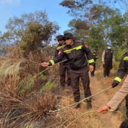 Kondisi vegetasi yang cukup kering membuat potensi perambatan api tetap harus diwaspadai. Karena itu patroli, monitoring, serta penyekatan akan terus dilakukan secara berkala,