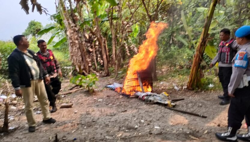 Respon Laporan Warga, Polresta Sidoarjo Bongkar Arena Sabung Ayam di Dua Lokasi